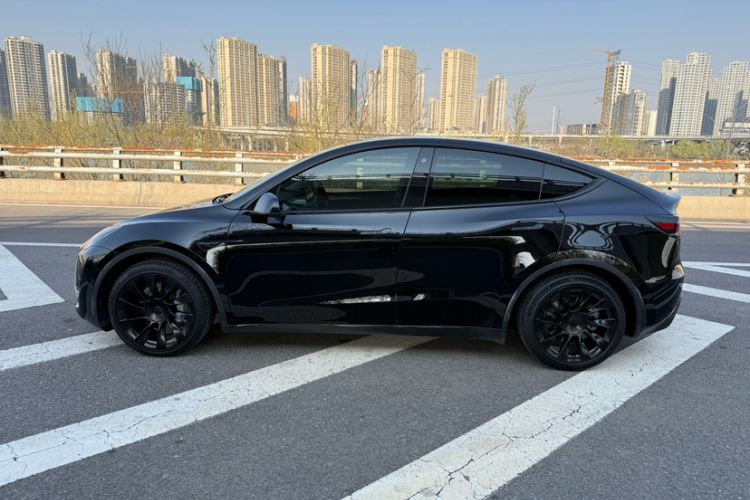 Used Tesla Model Y 2021 Standard Range Rear-Wheel Drive Version Exterior 5