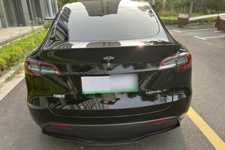 Used Tesla Model Y 2021 Standard Range Rear-Wheel Drive Version Exterior 5