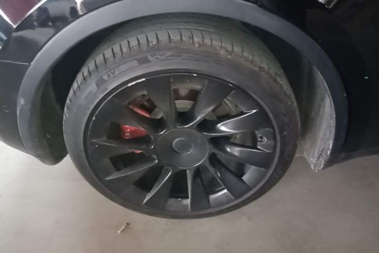 Used Tesla Model Y 2021 Long-Range All-Wheel-Drive Version 3D7 Exterior 5