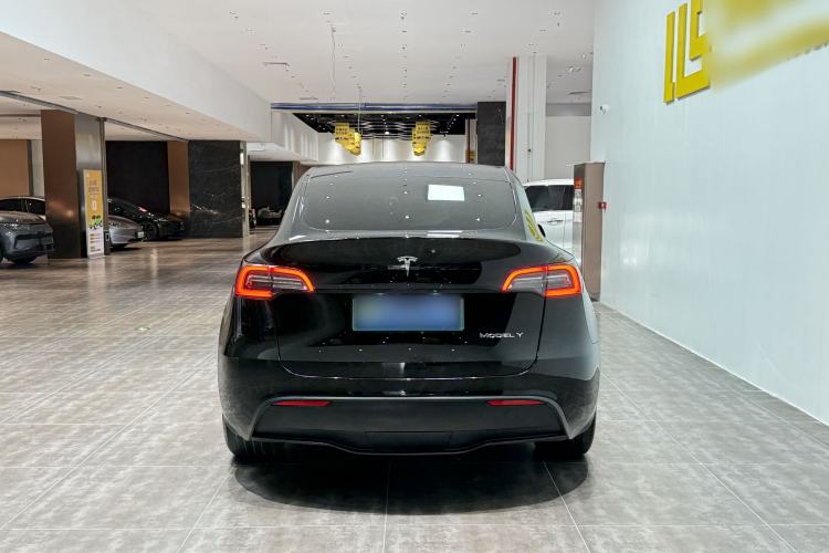 Used Tesla Model Y 2021 Standard Range Rear-Wheel Drive Version Exterior 5