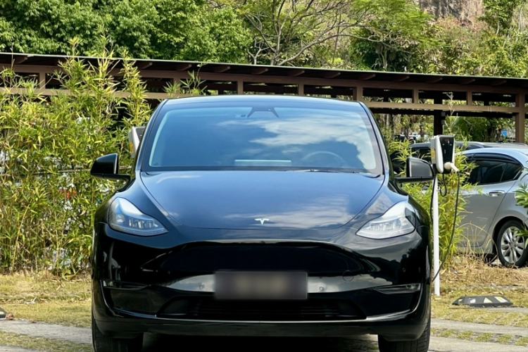 Used Tesla Model Y 2021 Standard Range Rear-Wheel Drive Version Exterior 5