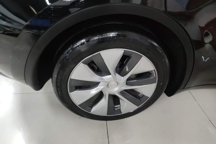 Used Tesla Model Y 2021 Standard Range Rear-Wheel Drive Version Exterior 5
