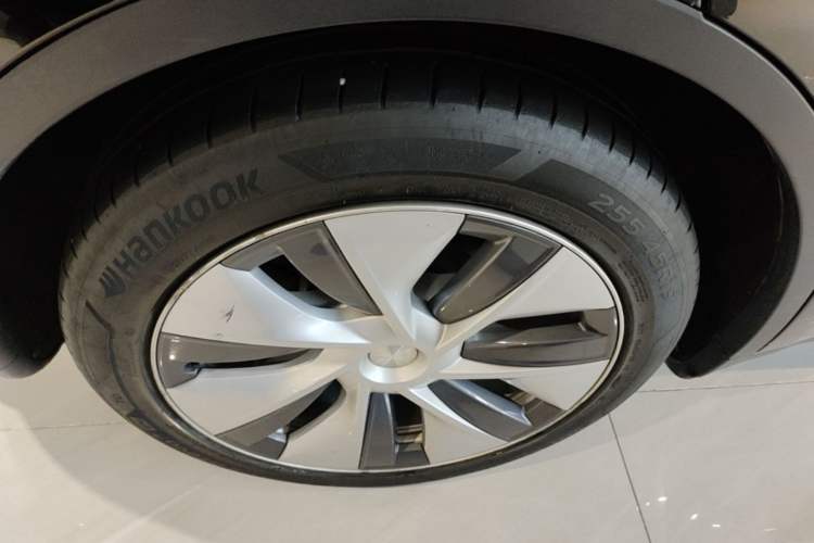Used Tesla Model Y 2021 Standard Range Rear-Wheel Drive Version Exterior 5