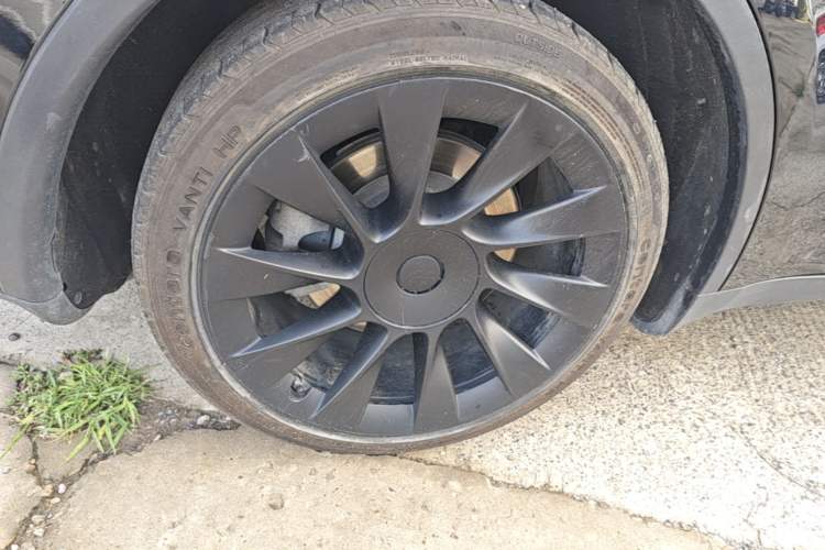 Used Tesla Model Y 2021 Standard Range Rear-Wheel Drive Version Exterior 5
