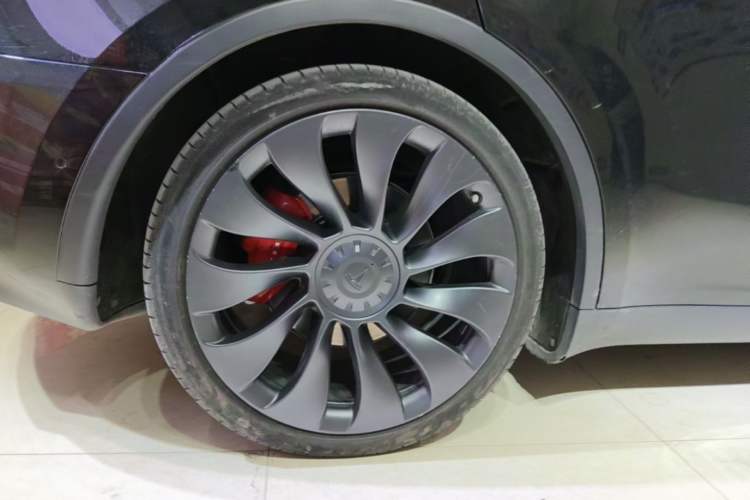 Used Tesla Model Y 2021 Performance High-Performance All-Wheel-Drive Version Exterior 5