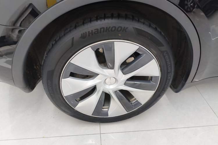 Used Tesla Model Y 2021 Standard Range Rear-Wheel Drive Version Exterior 5