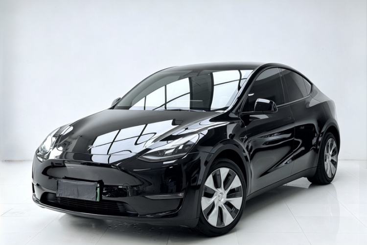 Used Tesla Model Y 2021 Standard Range Rear-Wheel Drive Version Exterior 5