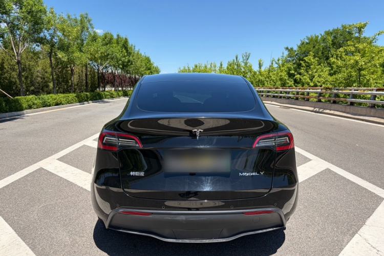 Used Tesla Model Y 2021 Standard Range Rear-Wheel Drive Version Exterior 5