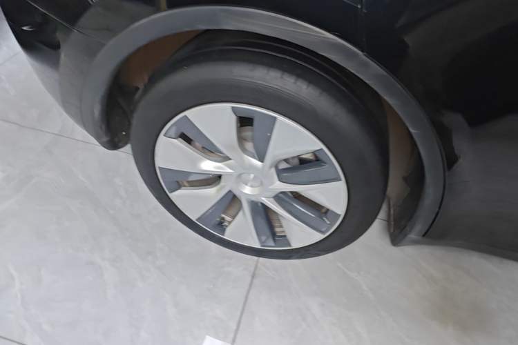 Used Tesla Model Y 2021 Long-Range All-Wheel-Drive Version Exterior 5