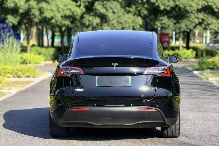 Used Tesla Model Y 2021 Standard Range Rear-Wheel Drive Version Exterior 5