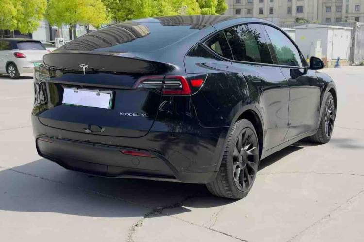 Used Tesla Model Y 2021 Standard Range Rear-Wheel Drive Version Exterior 5