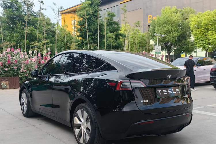 Used Tesla Model Y 2021 Standard Range Rear-Wheel Drive Version Exterior 5