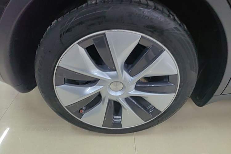 Used Tesla Model Y 2021 Standard Range Rear-Wheel Drive Version Exterior 5