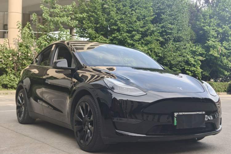 Used Tesla Model Y 2021 Standard Range Rear-Wheel Drive Version Exterior 5