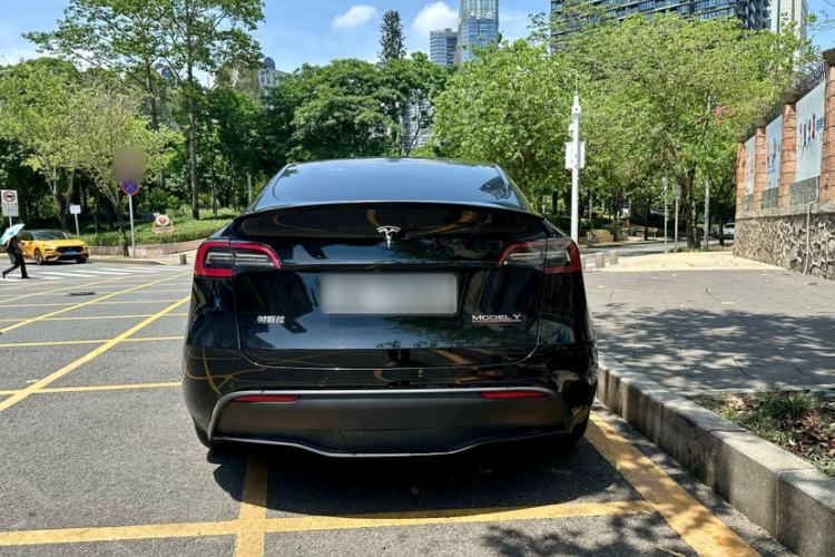 Used Tesla Model Y 2021 Performance High-Performance All-Wheel-Drive Version Exterior 5
