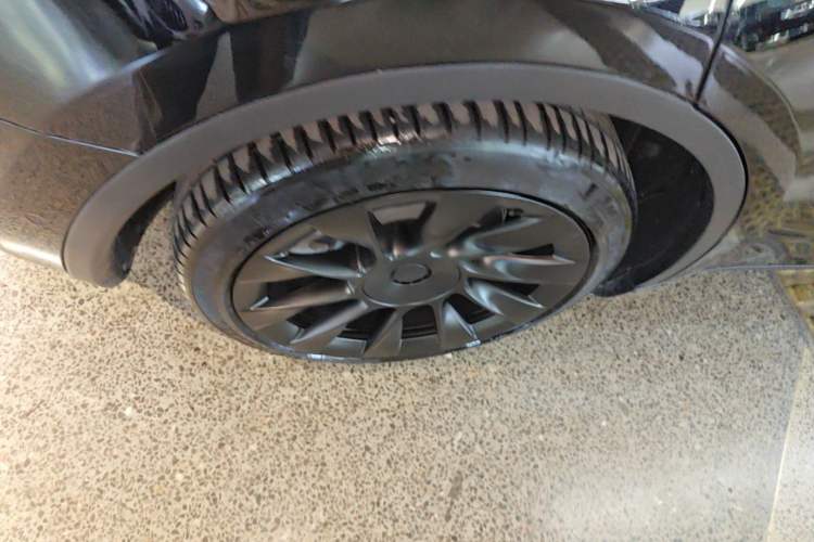 Used Tesla Model Y 2021 Standard Range Rear-Wheel Drive Version Exterior 5