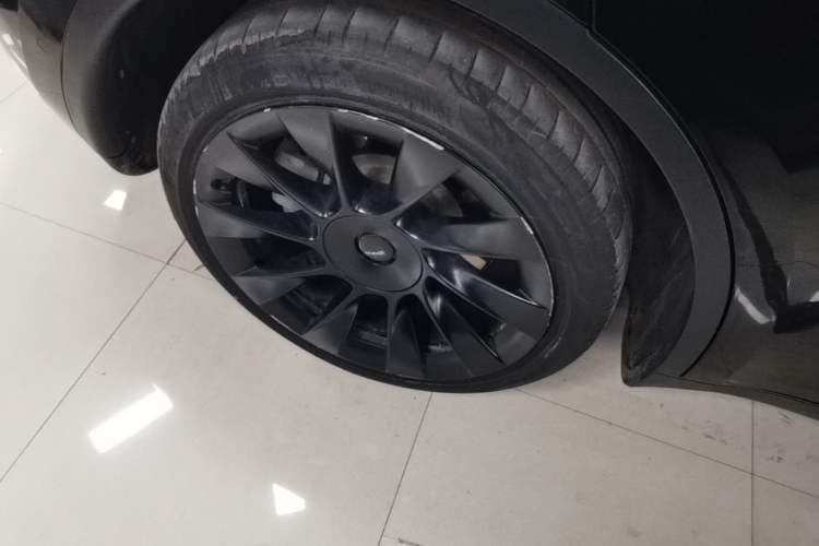 Used Tesla Model Y 2021 Long-Range All-Wheel-Drive Version 3D7 Exterior 5
