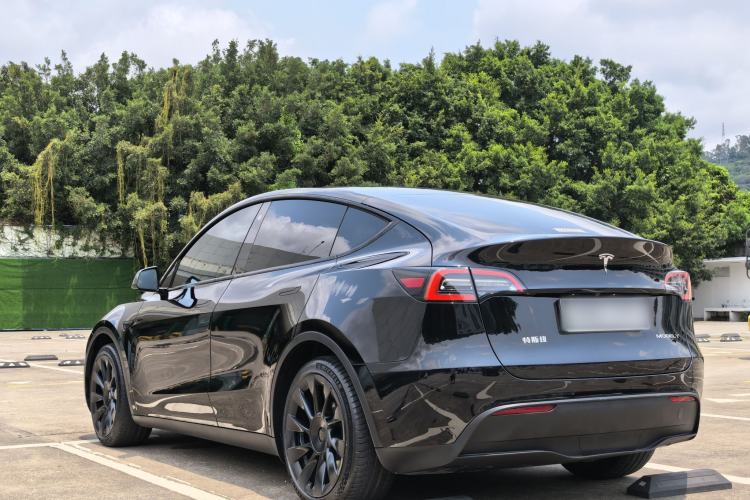 Used Tesla Model Y 2021 Standard Range Rear-Wheel Drive Version Exterior 5