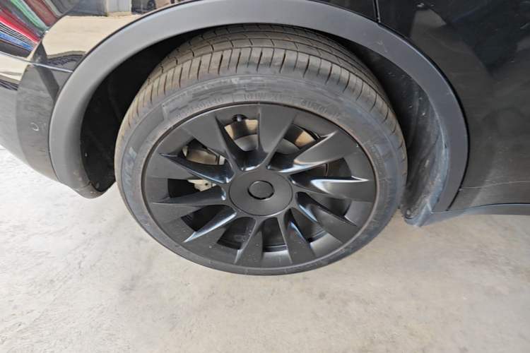 Used Tesla Model Y 2021 Standard Range Rear-Wheel Drive Version Exterior 5