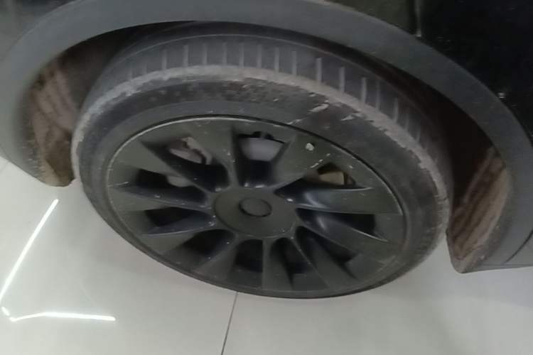 Used Tesla Model Y 2021 Standard Range Rear-Wheel Drive Version Exterior 5