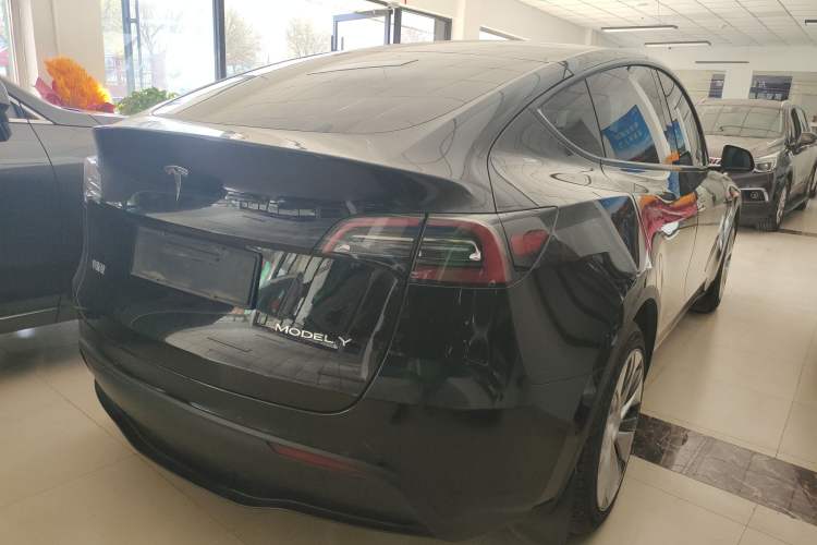 Used Tesla Model Y 2021 Standard Range Rear-Wheel Drive Version Exterior 5