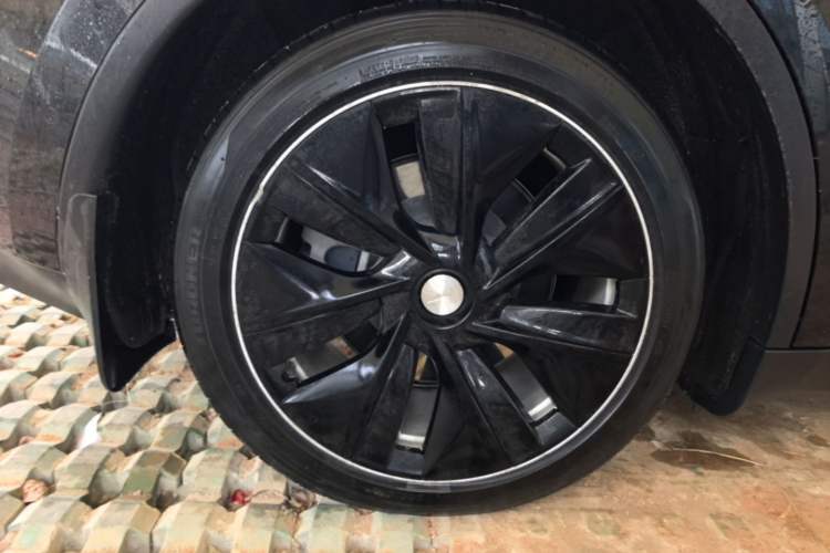 Used Tesla Model Y 2021 Standard Range Rear-Wheel Drive Version Exterior 5