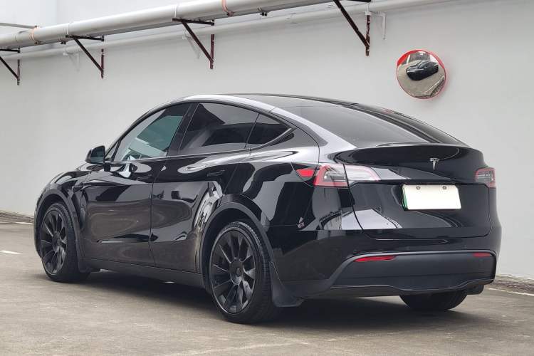Used Tesla Model Y 2021 Standard Range Rear-Wheel Drive Version Exterior 5