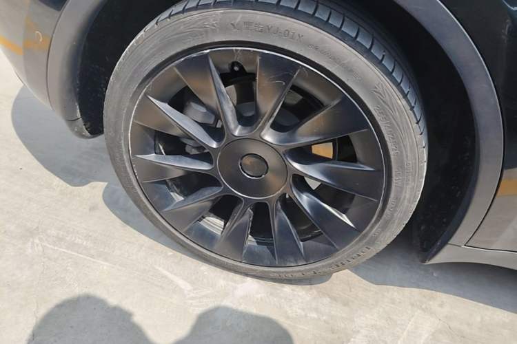 Used Tesla Model Y 2021 Standard Range Rear-Wheel Drive Version Exterior 5
