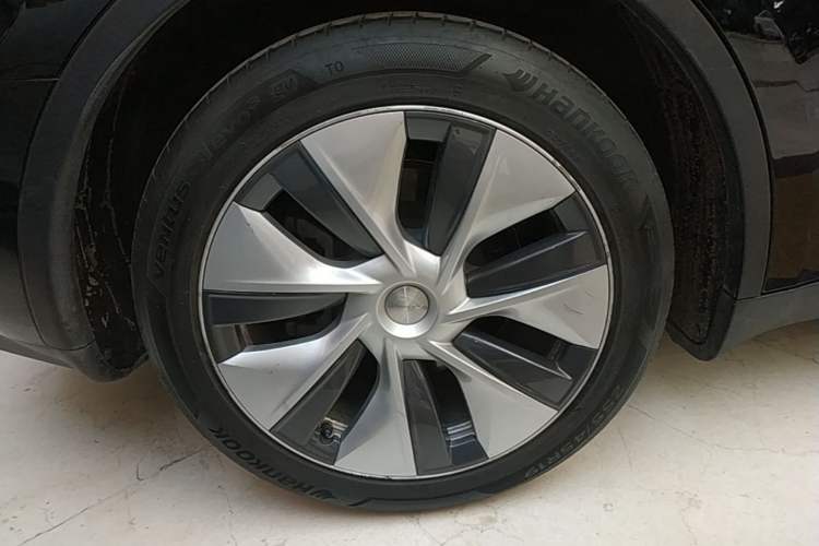 Used Tesla Model Y 2021 Standard Range Rear-Wheel Drive Version Exterior 5