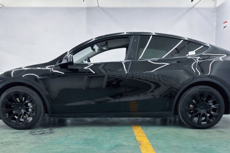 Used Tesla Model Y 2021 Standard Range Rear-Wheel Drive Version Exterior 6