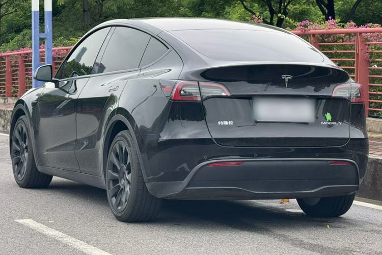 Used Tesla Model Y 2021 Standard Range Rear-Wheel Drive Version Exterior 6