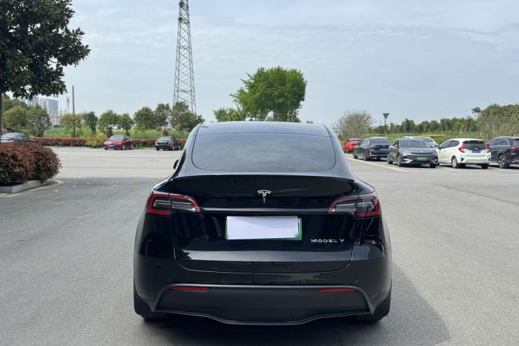 Used Tesla Model Y 2021 Standard Range Rear-Wheel Drive Version Exterior 6