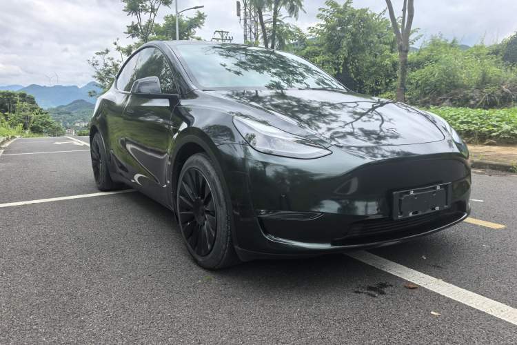 Used Tesla Model Y 2021 Standard Range Rear-Wheel Drive Version Exterior 6