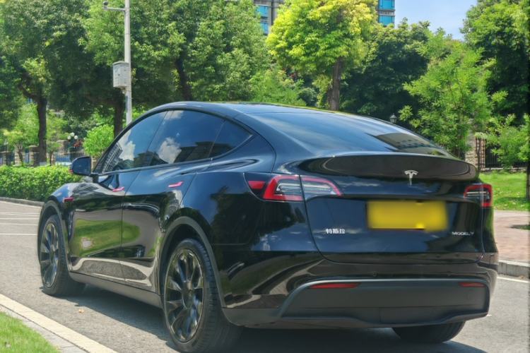 Used Tesla Model Y 2021 Standard Range Rear-Wheel Drive Version Exterior 6