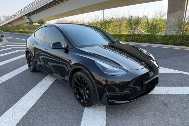 Used Tesla Model Y 2021 Standard Range Rear-Wheel Drive Version Exterior 6