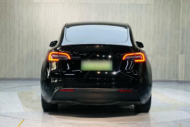 Used Tesla Model Y 2021 Standard Range Rear-Wheel Drive Version Exterior 6