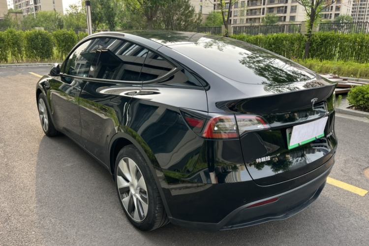 Used Tesla Model Y 2021 Standard Range Rear-Wheel Drive Version Exterior 6