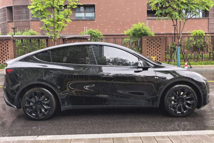 Used Tesla Model Y 2021 Standard Range Rear-Wheel Drive Version Exterior 6