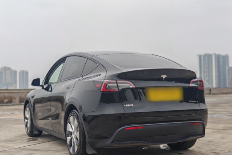 Used Tesla Model Y 2021 Standard Range Rear-Wheel Drive Version Exterior 6