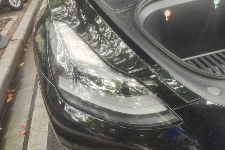 Used Tesla Model Y 2021 Standard Range Rear-Wheel Drive Version Exterior 6