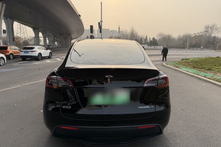 Used Tesla Model Y 2021 Standard Range Rear-Wheel Drive Version Exterior 6