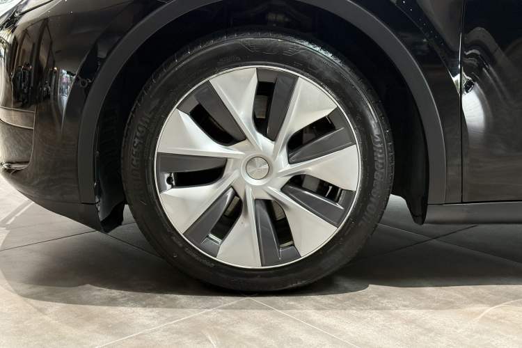 Used Tesla Model Y 2021 Standard Range Rear-Wheel Drive Version Exterior 6