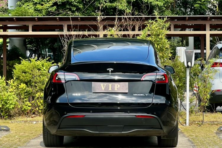 Used Tesla Model Y 2021 Standard Range Rear-Wheel Drive Version Exterior 6