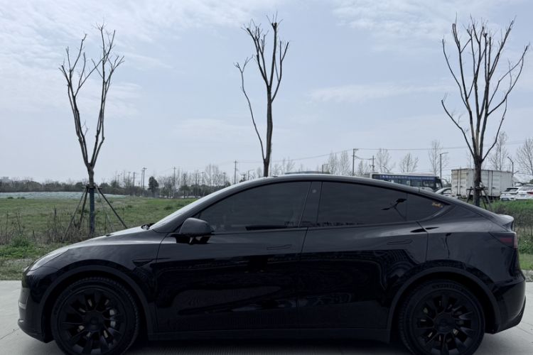 Used Tesla Model Y 2021 Long-Range All-Wheel-Drive Version 3D7 Exterior 6