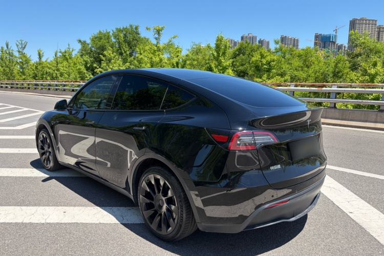 Used Tesla Model Y 2021 Standard Range Rear-Wheel Drive Version Exterior 6