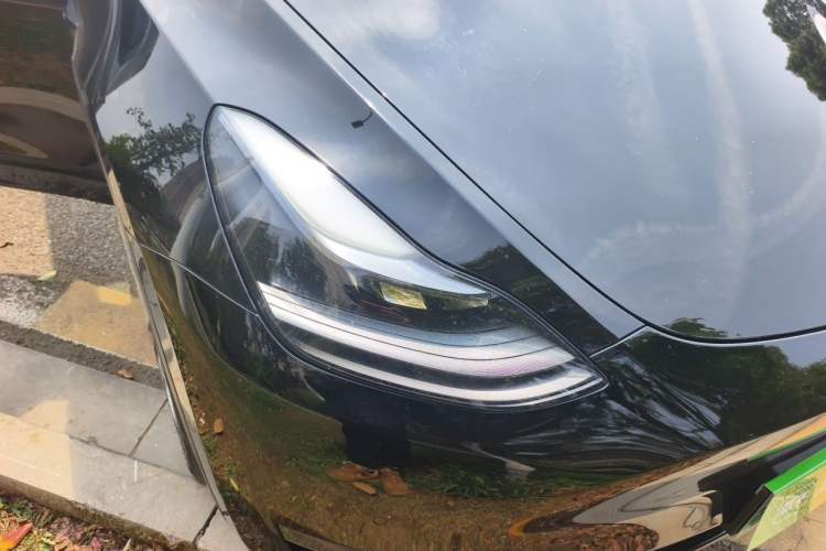 Used Tesla Model Y 2021 Standard Range Rear-Wheel Drive Version Exterior 6