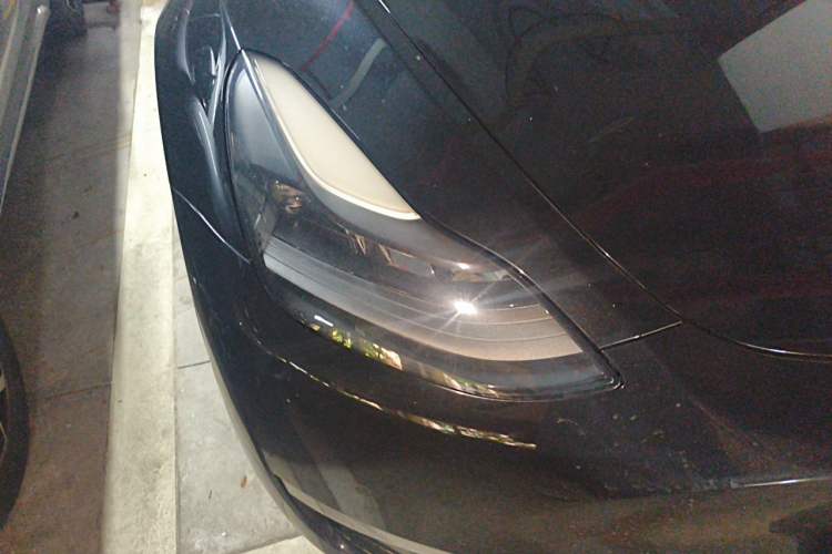Used Tesla Model Y 2021 Standard Range Rear-Wheel Drive Version Exterior 6