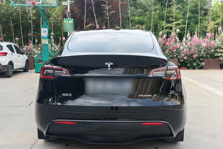 Used Tesla Model Y 2021 Standard Range Rear-Wheel Drive Version Exterior 6