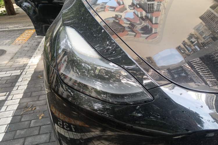 Used Tesla Model Y 2021 Performance High-Performance All-Wheel-Drive Version Exterior 6