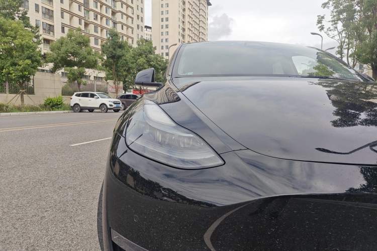Used Tesla Model Y 2021 Standard Range Rear-Wheel Drive Version Exterior 6
